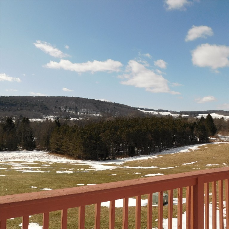 126 Quinn Road Greene, NY 13778 - Photo 31 of 39 Gallery Image 31