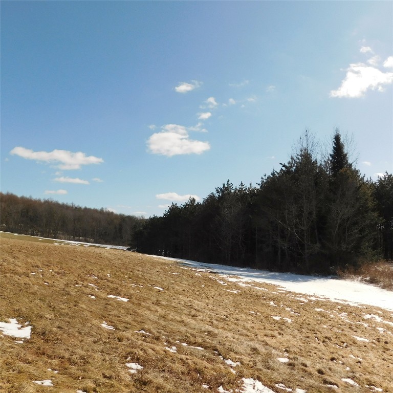 126 Quinn Road Greene, NY 13778 - Photo 32 of 39 Gallery Image 32