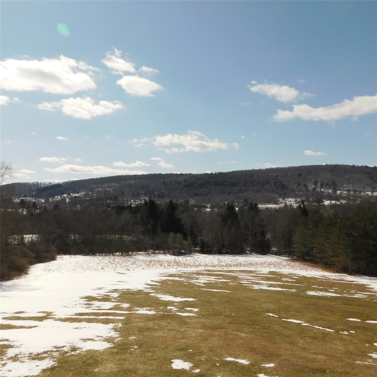 126 Quinn Road Greene, NY 13778 - Photo 33 of 39 Gallery Image 33