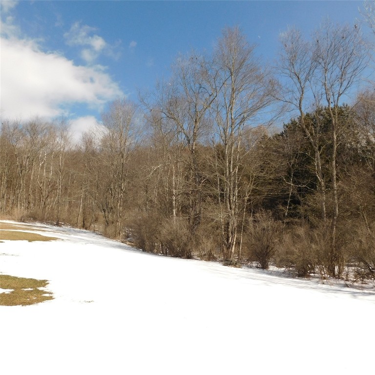 126 Quinn Road Greene, NY 13778 - Photo 34 of 39 Gallery Image 34