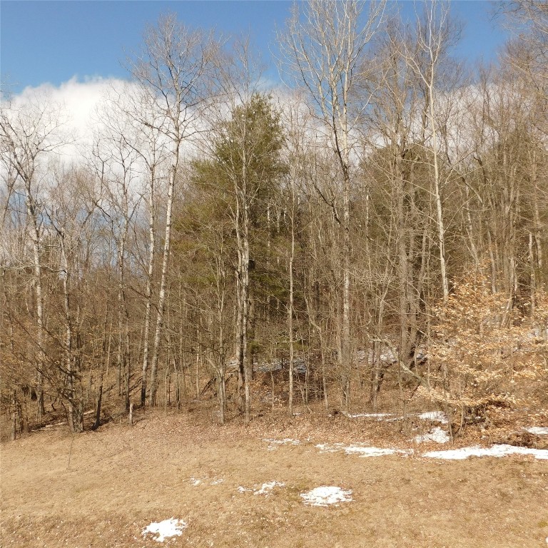 126 Quinn Road Greene, NY 13778 - Photo 35 of 39 Gallery Image 35