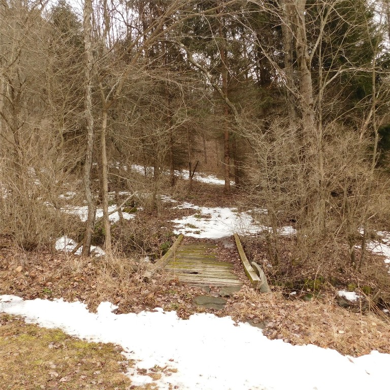 126 Quinn Road Greene, NY 13778 - Photo 39 of 39 Gallery Image 39