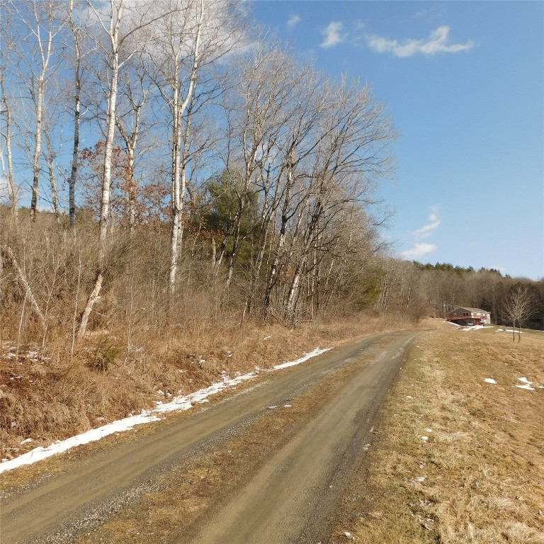 126 Quinn Road Greene, NY 13778 - Photo 6 of 39 Gallery Image 6