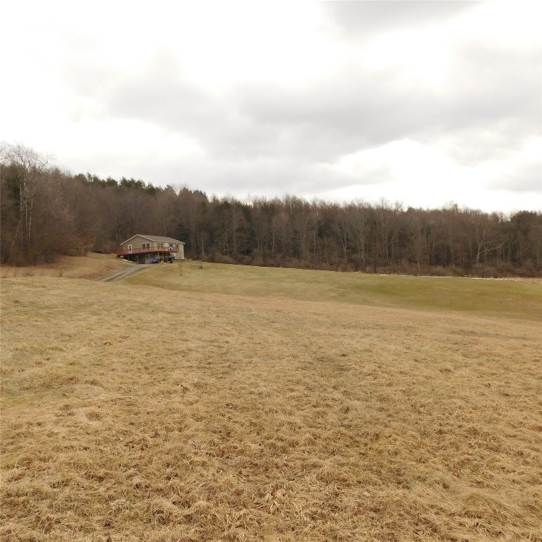 126 Quinn Road Greene, NY 13778 - Photo 8 of 39 Gallery Image 8