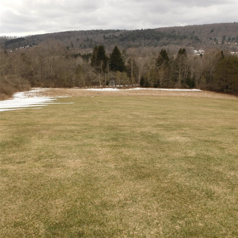 126 Quinn Road Greene, NY 13778 - Photo 9 of 39 Gallery Image 9