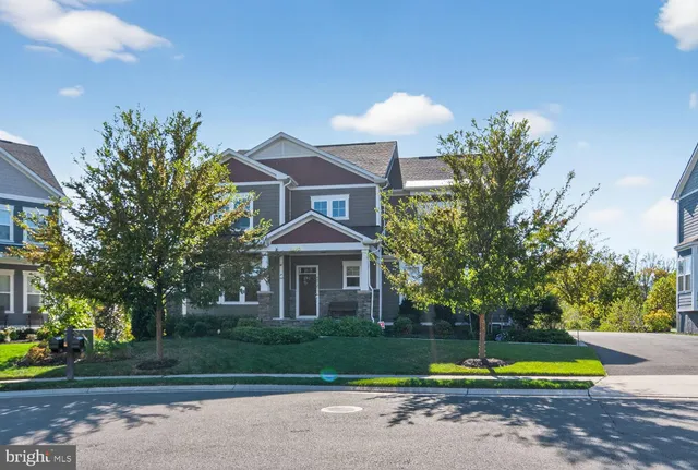 a view of a trees in a yard