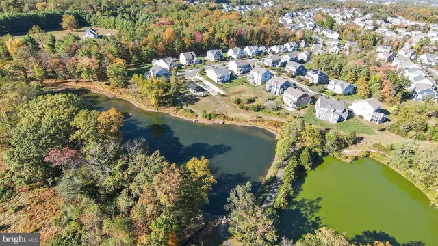 a view of a garden with an outdoor space