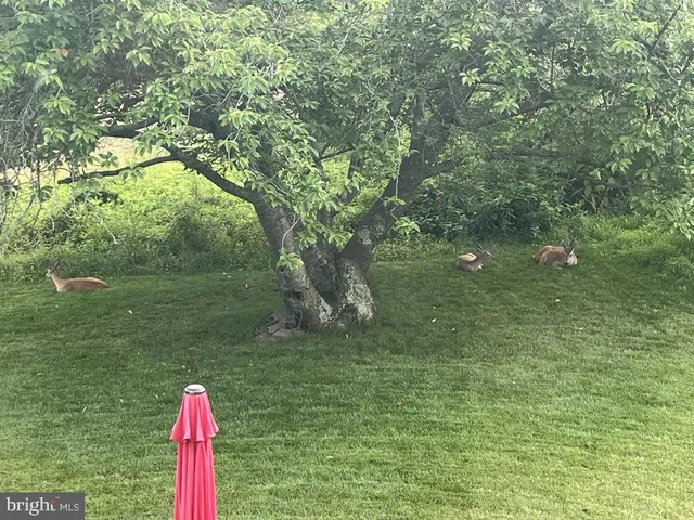 $1,565,000 | 40925 Arcadian Pond Court, Aldie, VA 20105