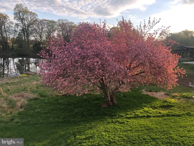 $1,565,000 | 40925 Arcadian Pond Court, Aldie, VA 20105