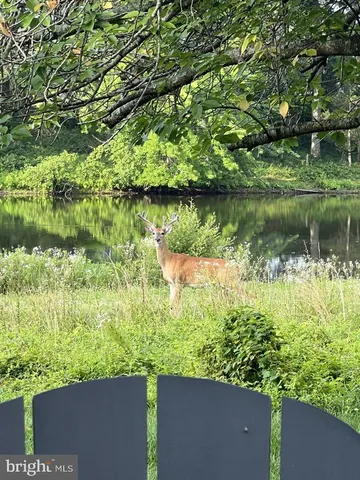 $1,565,000 | 40925 Arcadian Pond Court, Aldie, VA 20105