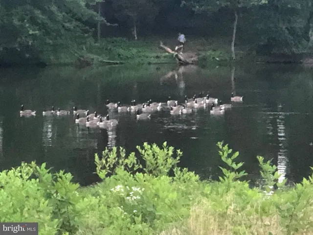 $1,565,000 | 40925 Arcadian Pond Court, Aldie, VA 20105