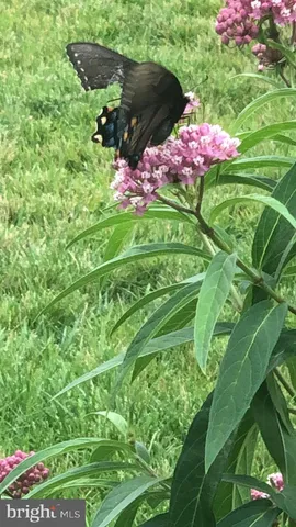 $1,565,000 | 40925 Arcadian Pond Court, Aldie, VA 20105