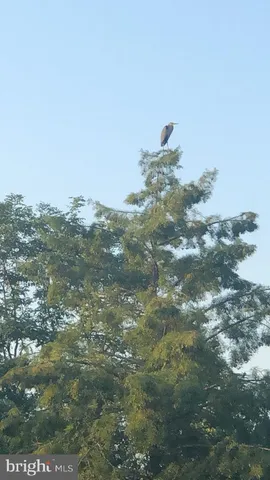 $1,565,000 | 40925 Arcadian Pond Court, Aldie, VA 20105