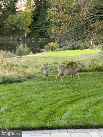 $1,565,000 | 40925 Arcadian Pond Court, Aldie, VA 20105