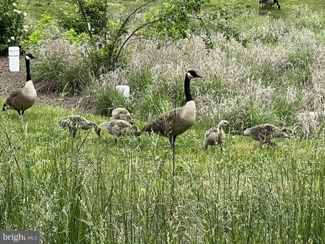 $1,565,000 | 40925 Arcadian Pond Court, Aldie, VA 20105