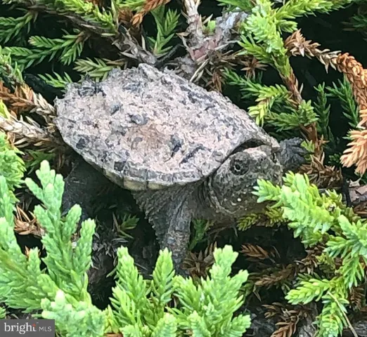 $1,565,000 | 40925 Arcadian Pond Court, Aldie, VA 20105