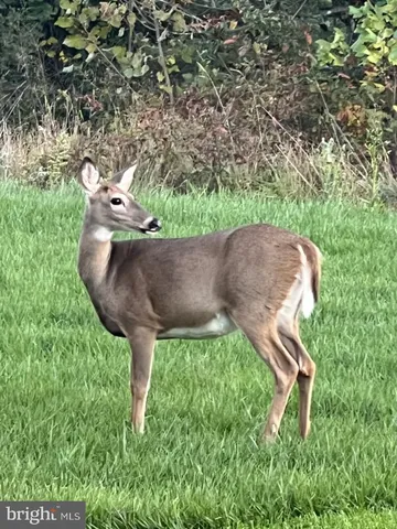 $1,565,000 | 40925 Arcadian Pond Court, Aldie, VA 20105