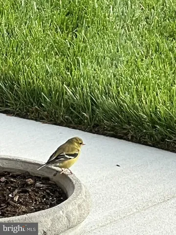 $1,565,000 | 40925 Arcadian Pond Court, Aldie, VA 20105