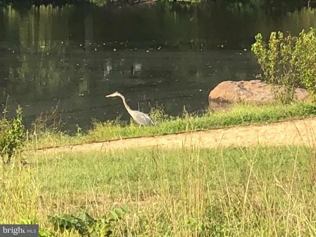 $1,565,000 | 40925 Arcadian Pond Court, Aldie, VA 20105