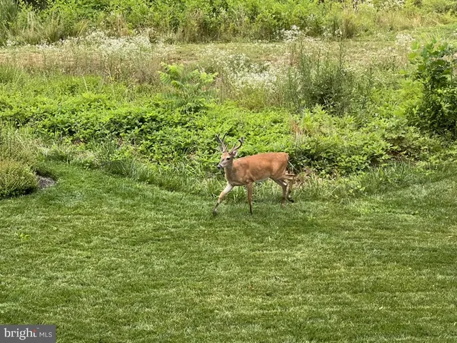 $1,565,000 | 40925 Arcadian Pond Court, Aldie, VA 20105