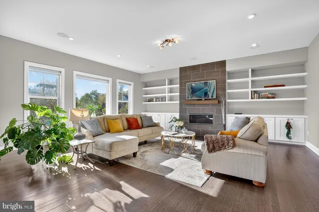 a view of a garden with plants and large trees