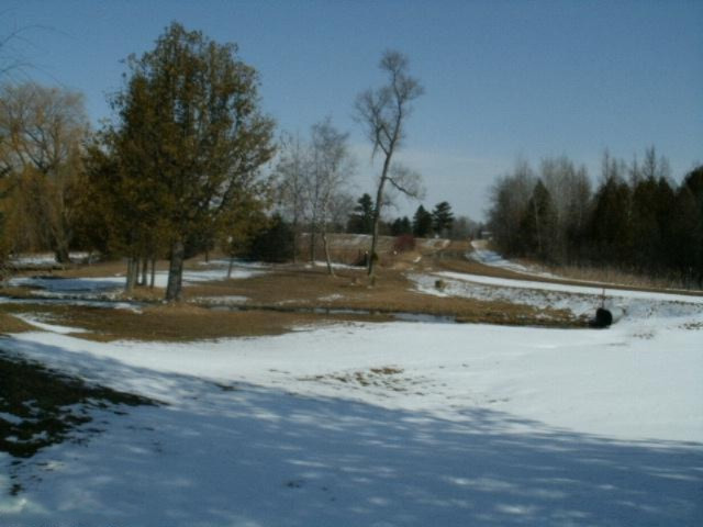 20 Yankee Road Northwest Edmore, MI 48829 - Photo 2 of 10 Additional Photo