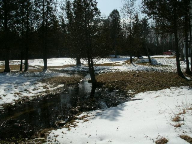 20 Yankee Road Northwest Edmore, MI 48829 - Photo 3 of 10 Additional Photo