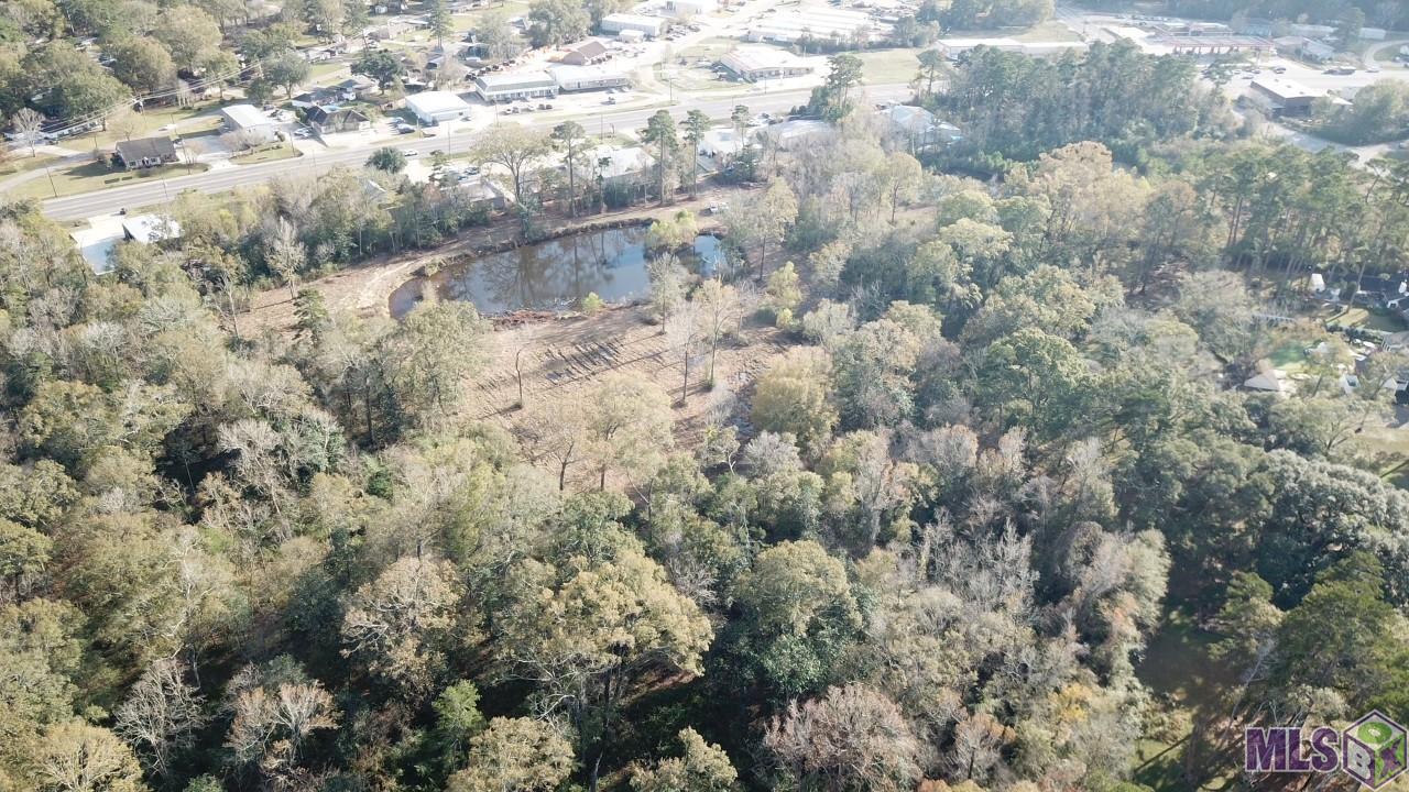 18.97-acres South River Road Denham Springs, LA 70726 - Photo 8 of 14