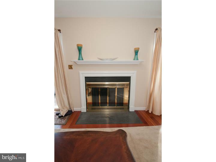 294 Fox Run Exton, PA 19341 - Photo 8 of 25 Fireplace