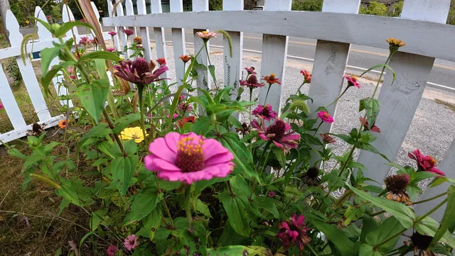 $95,000 | 16920 6th Street, Wellston, MI 49689