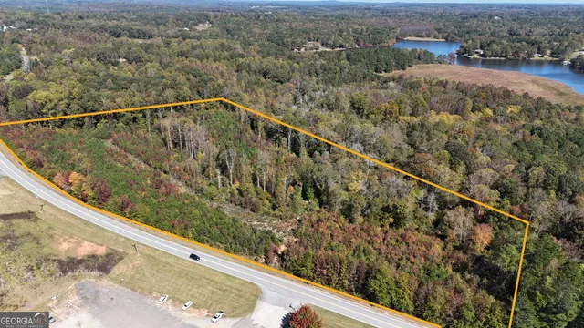 a view of a forest from a balcony