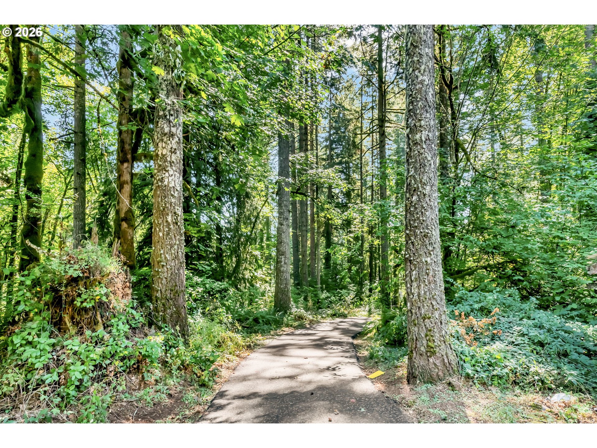 Undisclosed Address Springfield, OR 97478 - Photo 5 of 48