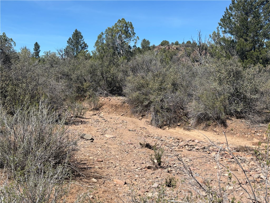 352-38-012 352-38-012 Badger Ridge Road Kingman, AZ 86401 - Photo 13 of 31