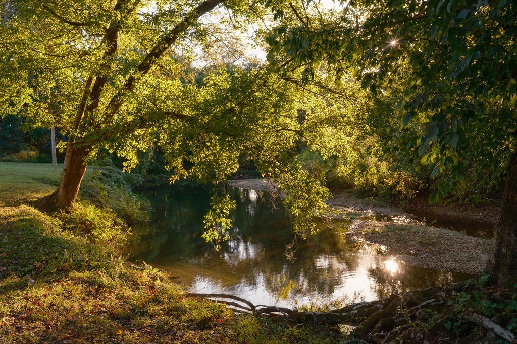 5297 Old Harding Road Franklin, TN 37064 - Photo 40 of 100