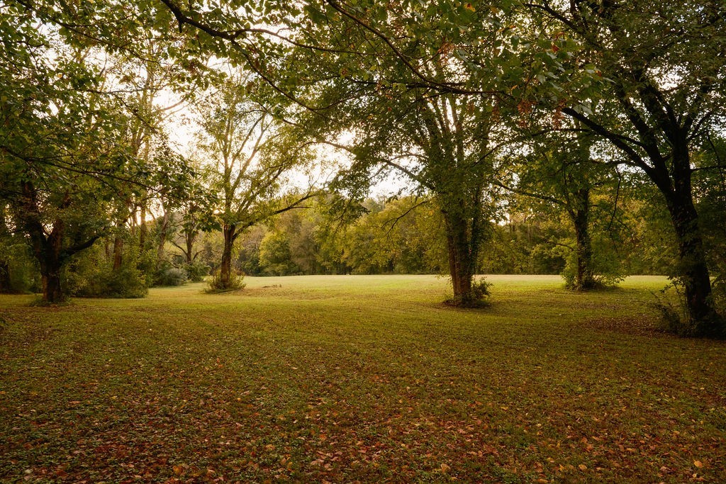 5297 Old Harding Road Franklin, TN 37064 - Photo 81 of 100