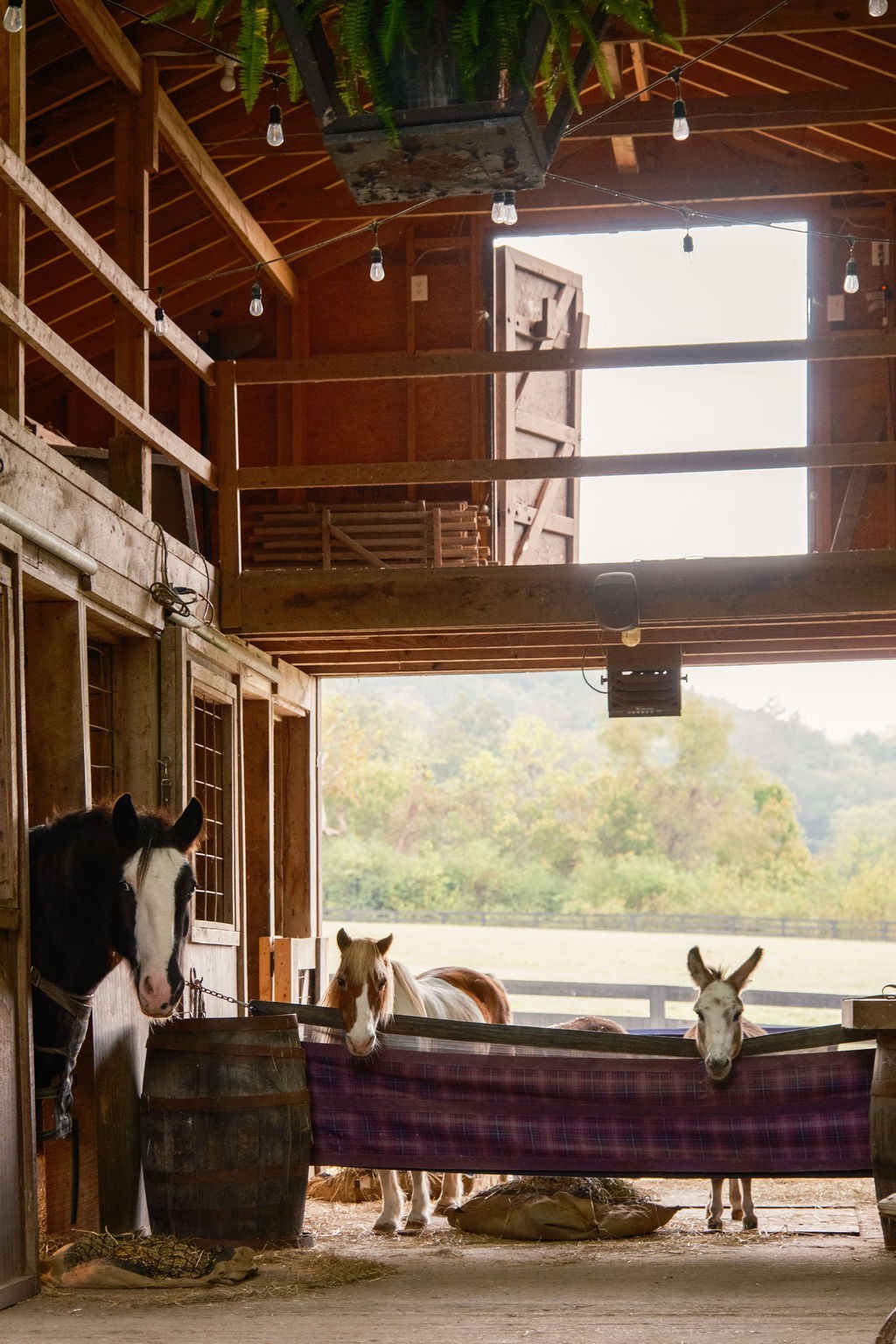 5297 Old Harding Road Franklin, TN 37064 - Photo 88 of 100