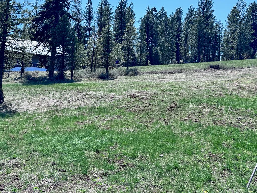 Lot 19 Hot Springs Road, Unit 19 New Meadows, ID 83654 - Photo 11 of 26