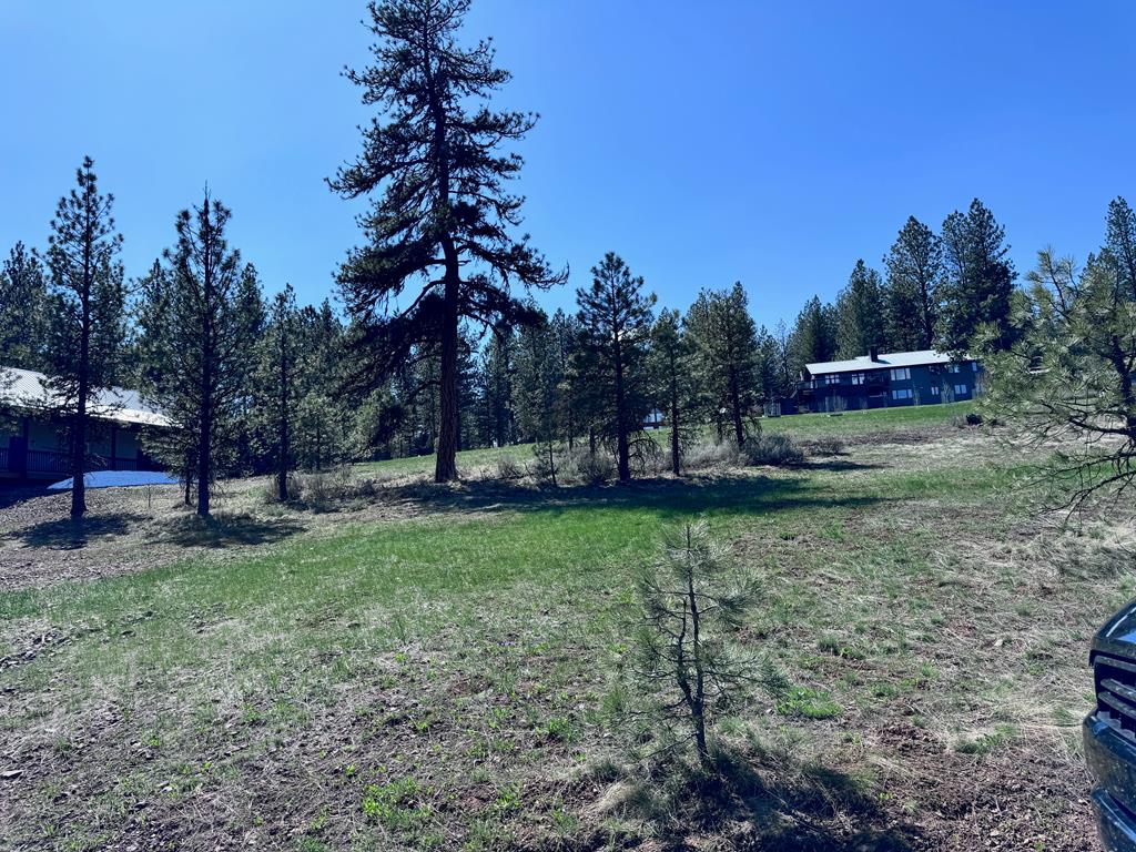 Lot 19 Hot Springs Road, Unit 19 New Meadows, ID 83654 - Photo 12 of 26