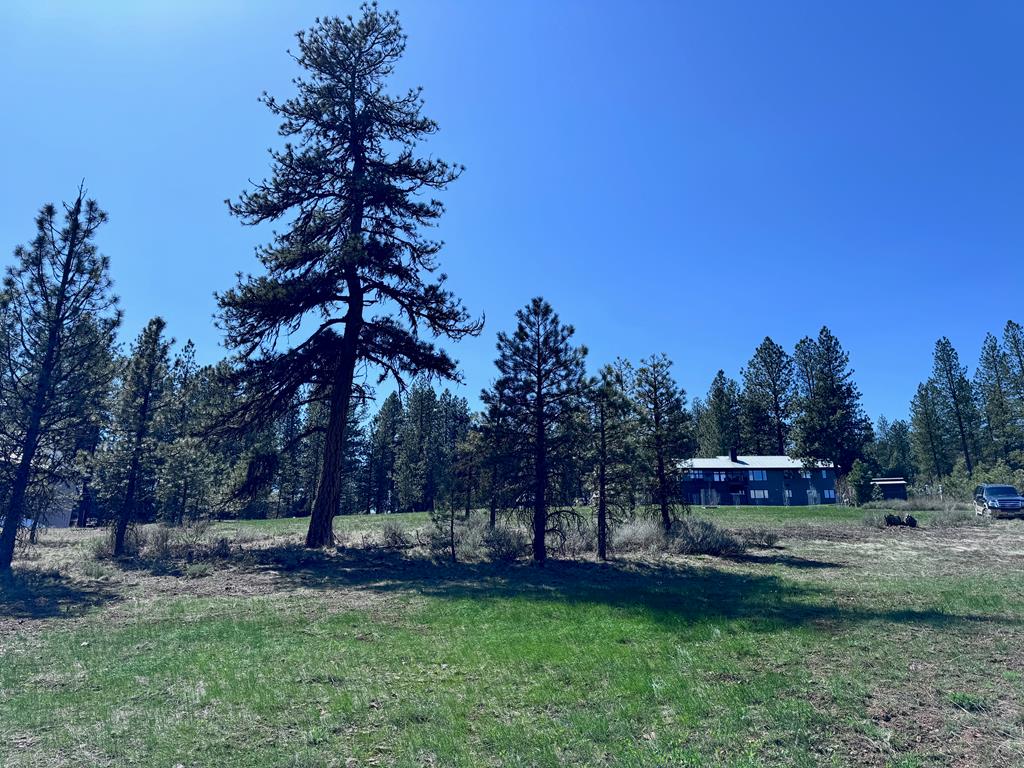 Lot 19 Hot Springs Road, Unit 19 New Meadows, ID 83654 - Photo 13 of 26