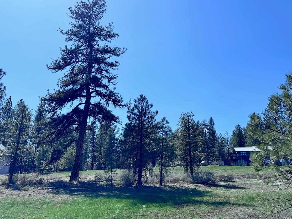 Lot 19 Hot Springs Road, Unit 19 New Meadows, ID 83654 - Photo 14 of 26