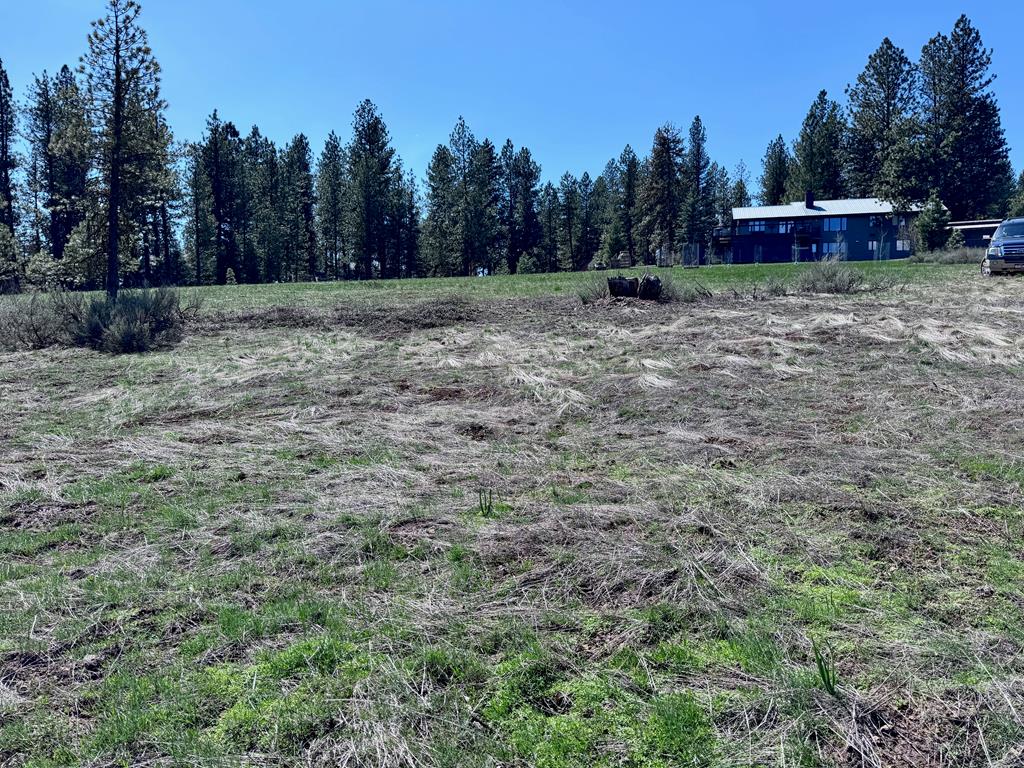 Lot 19 Hot Springs Road, Unit 19 New Meadows, ID 83654 - Photo 15 of 26