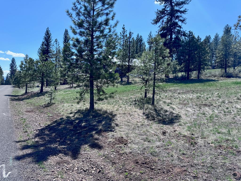 Lot 19 Hot Springs Road, Unit 19 New Meadows, ID 83654 - Photo 16 of 26