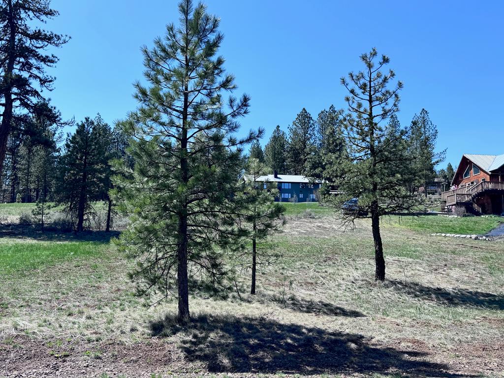 Lot 19 Hot Springs Road, Unit 19 New Meadows, ID 83654 - Photo 17 of 26