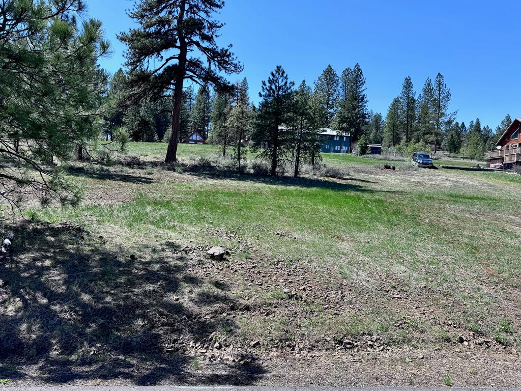 Lot 19 Hot Springs Road, Unit 19 New Meadows, ID 83654 - Photo 18 of 26