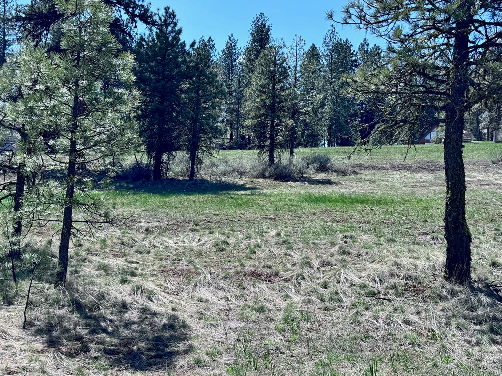 Lot 19 Hot Springs Road, Unit 19 New Meadows, ID 83654 - Photo 19 of 26