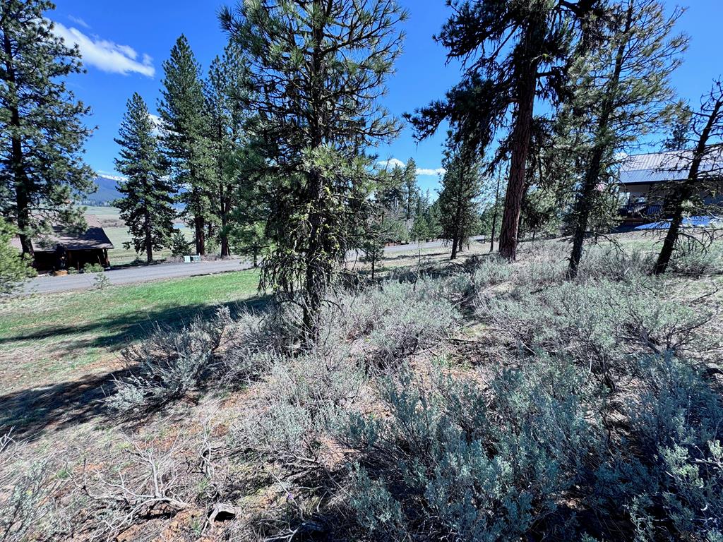 Lot 19 Hot Springs Road, Unit 19 New Meadows, ID 83654 - Photo 20 of 26