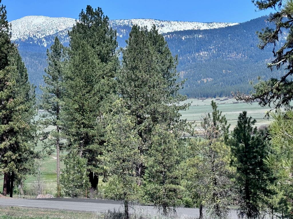 Lot 19 Hot Springs Road, Unit 19 New Meadows, ID 83654 - Photo 2 of 26