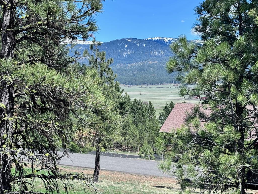 Lot 19 Hot Springs Road, Unit 19 New Meadows, ID 83654 - Photo 3 of 26