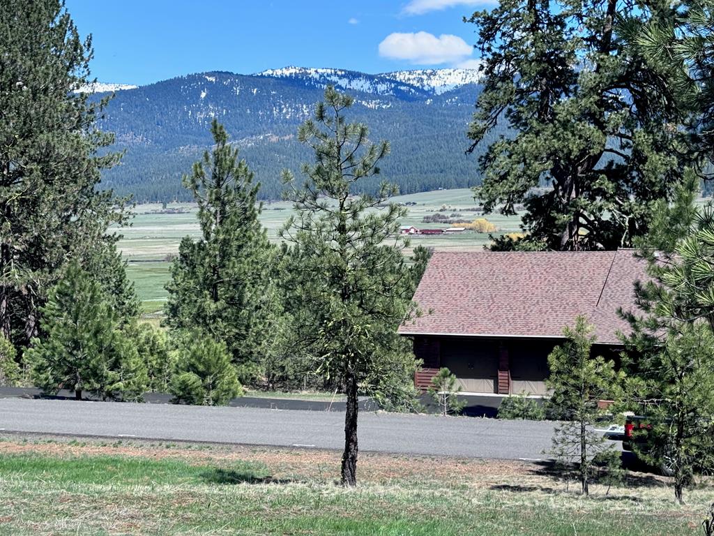 Lot 19 Hot Springs Road, Unit 19 New Meadows, ID 83654 - Photo 4 of 26