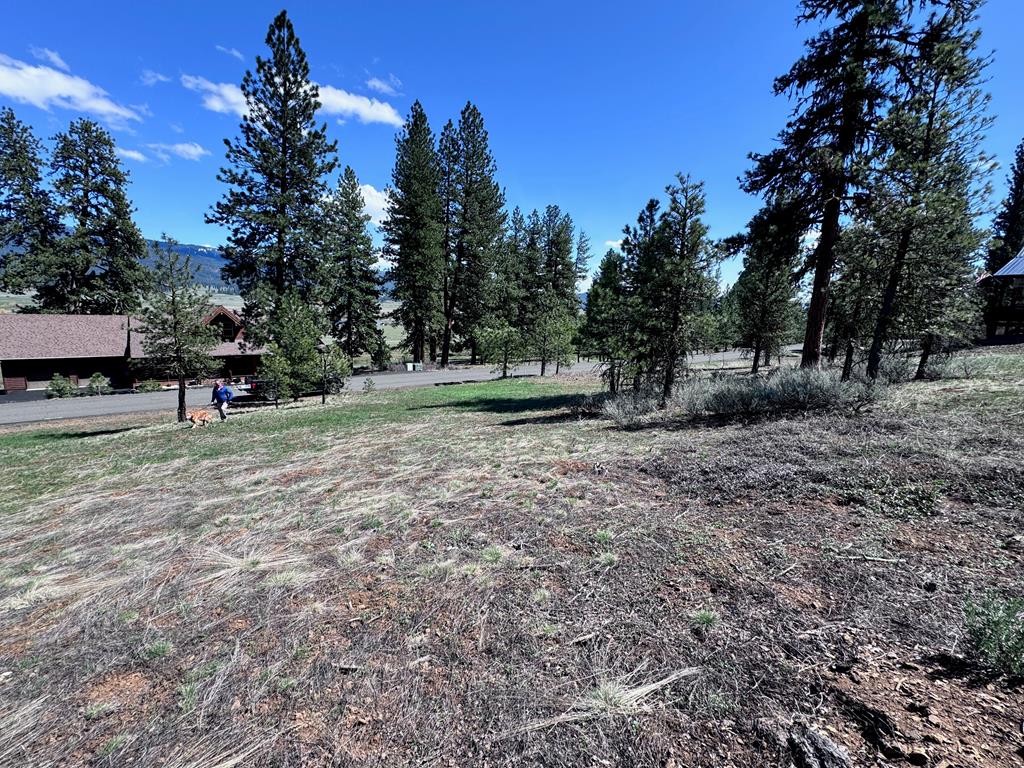Lot 19 Hot Springs Road, Unit 19 New Meadows, ID 83654 - Photo 5 of 26